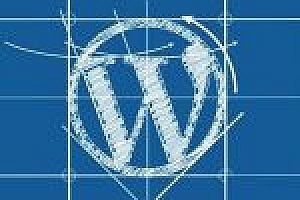 WordPress中国加速插件:WP Acceleration for China