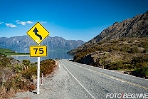 全站取消SSL通知