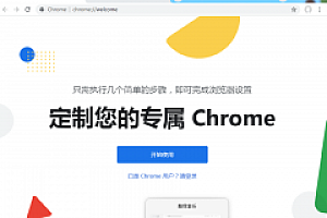 Google Chrome 浏览器 91.0.4472.124.x64 中文绿色便携稳定共存版
