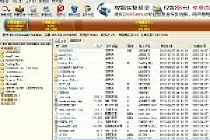 硬盘分区DiskGenius v4.4.0专业版无需激活