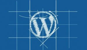 WordPress中国加速插件：WP Acceleration for China