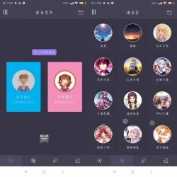 吃鸡变声器专业版v3.5.0破解版