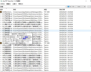 AnyTXT Searcher软件v1.2.483强大的本地文件搜索引擎