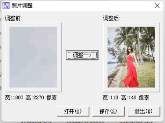 [实用小工具]一寸照片生成器