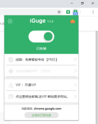 谷歌访问助手iGG安装教程