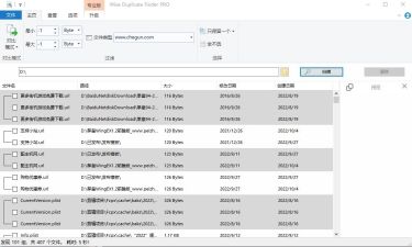 重复文件查找软件 Wise Duplicate Finder_2.0.2.57_pro
